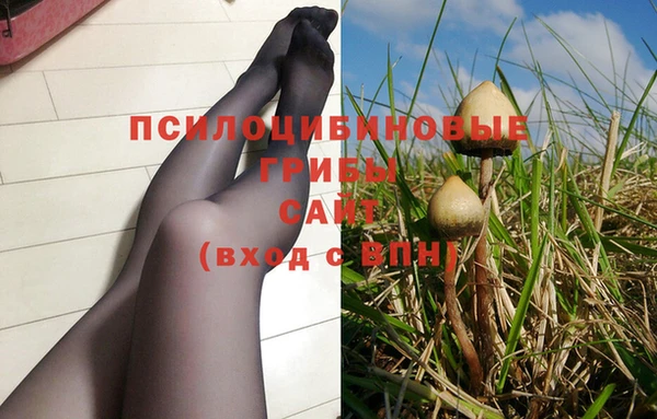 тгк Арсеньев