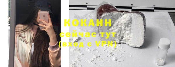 тгк Арсеньев