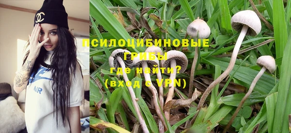 гашик Армянск