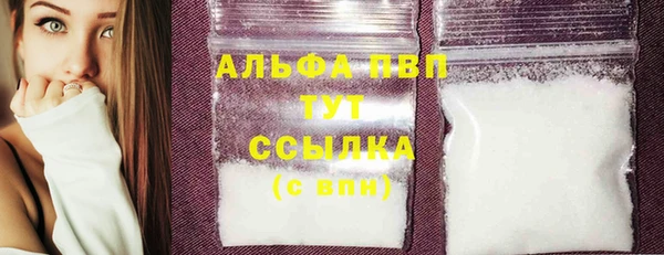 молекула духа Снежногорск