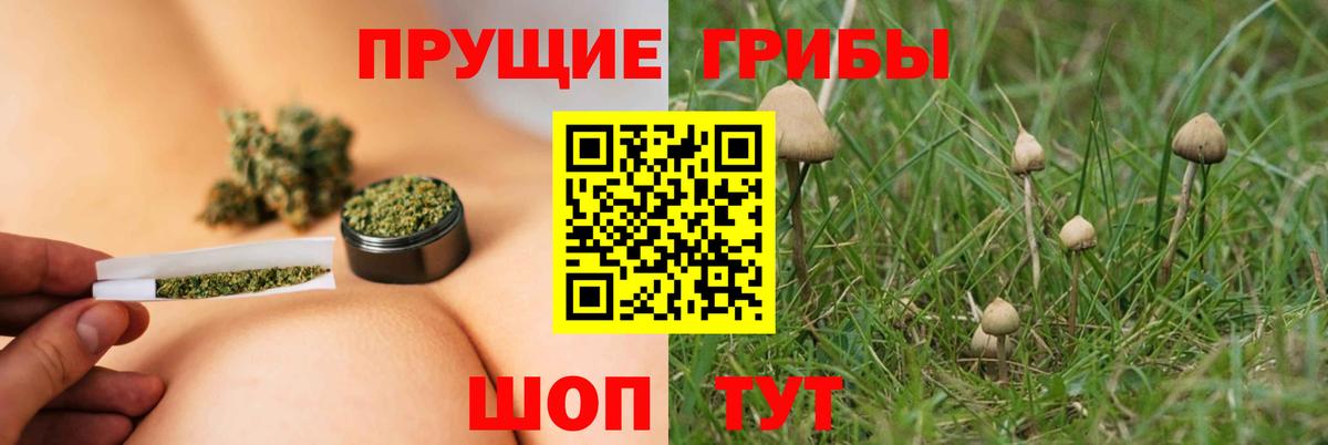 Псилоцибиновые грибы Magic Shrooms  Галлюциногенные грибы ЛСД  Вход с VPN  Аша 